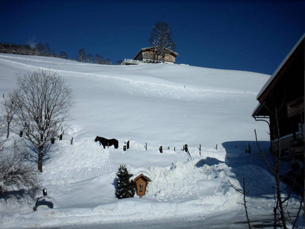 Viehhofbauer Villa Maria Alm am Steinernen Meer Exterior photo